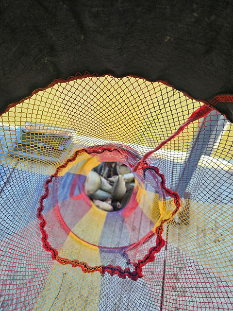f687977592728e8d042e619d4cac1e6a_1783997379_3766.jpg